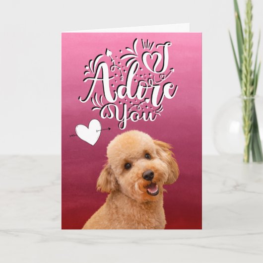 Poodle ...ik aanbid je Valentijnsdag kerstkaart Feestdagen Kaart (Voorkant)
