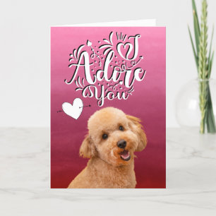 Poodle ...Ik bewonder je Valentijnsdag Holiday Kaa Feestdagen Kaart