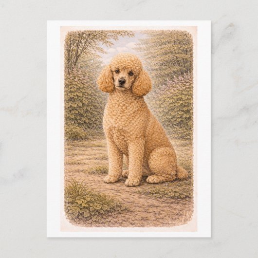 Poodle in vintage stijl briefkaart (Voorkant)