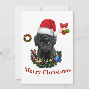 Poodle Kerst  Kaart