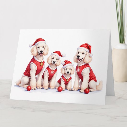 Poodle Kerstjurk Kerstman Hoed Kaart (Voorkant)