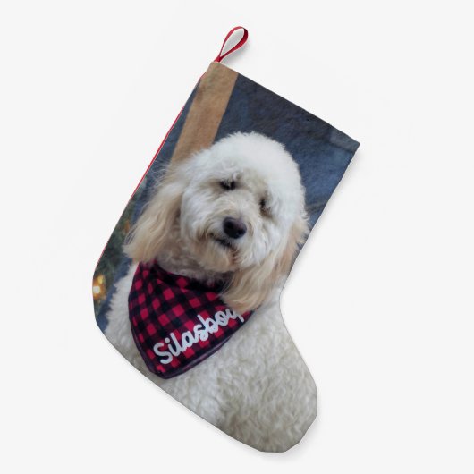 Poodle Kleine Kerstsok (Voorkant (Hangend))