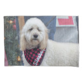 Poodle Kussensloop (Voorkant)