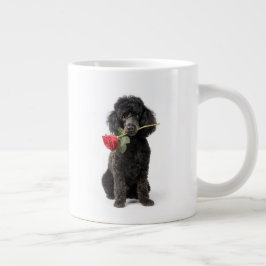 Poodle Liefde Grote Koffiekop