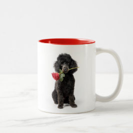 Poodle Liefde Tweekleurige Koffiemok