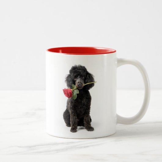 Poodle Liefde Tweekleurige Koffiemok (Rechts)