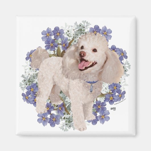 Poodle Magneet (Voorkant)