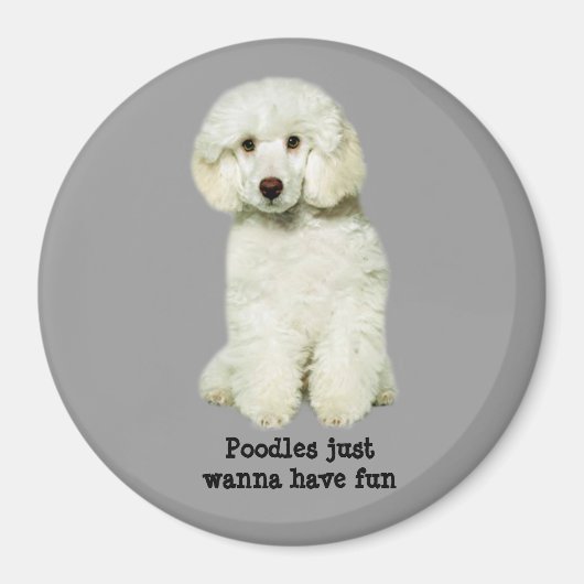 Poodle Magnet (Voorkant)