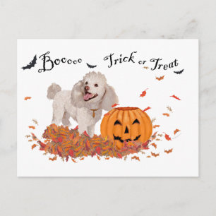 Poodle met Halloween Briefkaart