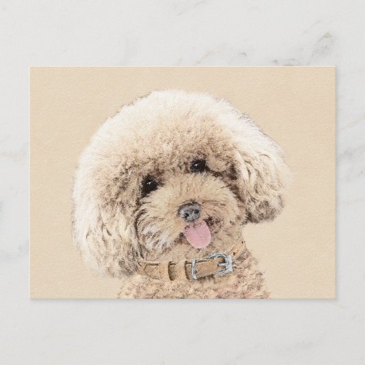 Poodle Miniature Speelgoed Abriot Cream Brown Dog  Briefkaart (Voorkant)