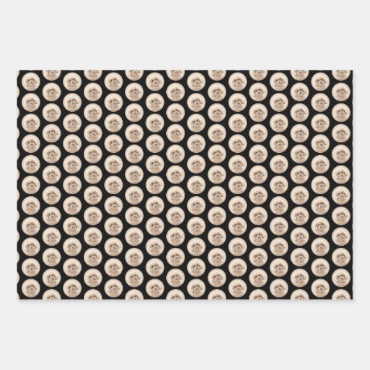 Poodle Miniature Speelgoed Abriot Cream Brown Dog  Inpakpapier Vel (Voorkant 3)