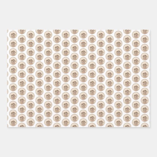 Poodle Miniature Speelgoed Abriot Cream Brown Dog  Inpakpapier Vel (Voorkant 2)