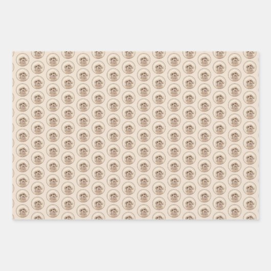 Poodle Miniature Speelgoed Abriot Cream Brown Dog  Inpakpapier Vel (Voorkant)