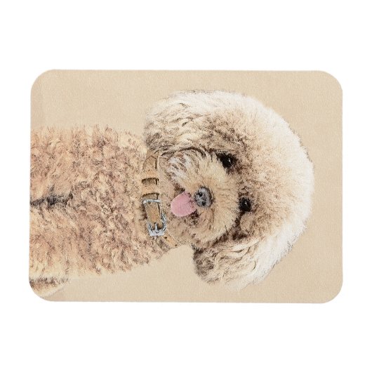 Poodle Miniature Speelgoed Abriot Cream Brown Dog Magneet (Horizontaal)