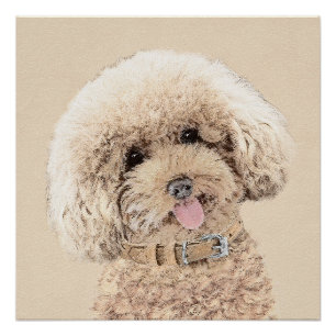 Poodle Miniature Speelgoed Abriot Cream Brown Dog  Perfect Poster