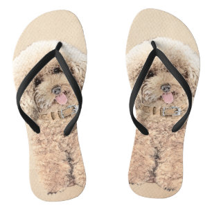 Poodle Miniature Speelgoed Abriot Cream Brown Dog  Teenslippers