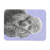Poodle Miniature Speelgoed Silver Gray Blue Dog Ar Magneet (Horizontaal)