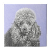 Poodle Miniature Speelgoed Silver Gray Blue Dog Ar Tegeltje (Voorkant)