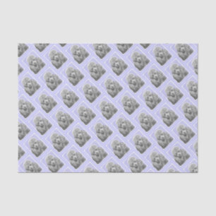 Poodle Miniature Speelgoed Silver Gray Blue Dog Ar Tissuepapier