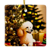 Poodle onder kerstboom