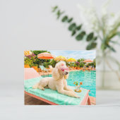 Poodle op lounge stoel briefkaart (Staand voorkant)