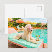 Poodle op lounge stoel briefkaart (Voorkant / Achterkant)