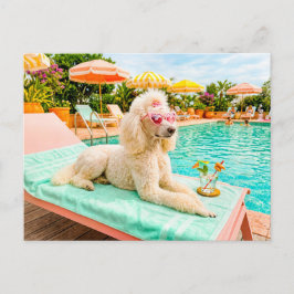 Poodle op lounge stoel briefkaart