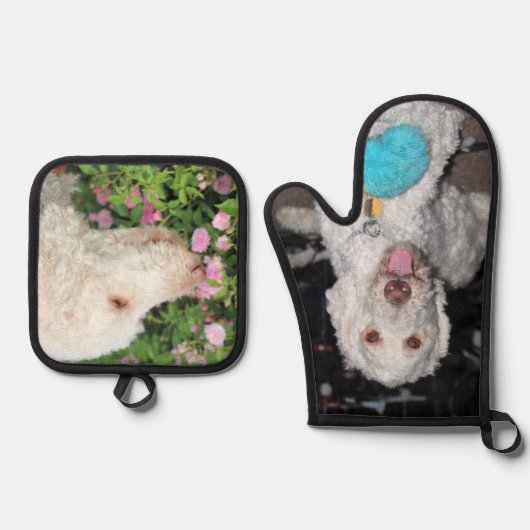 Poodle Ovenwant & Pannenlap Set (Voorkant)