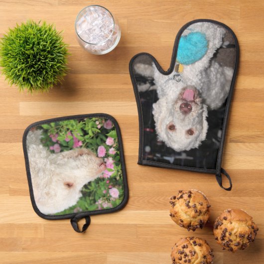 Poodle Ovenwant & Pannenlap Set (Top down)