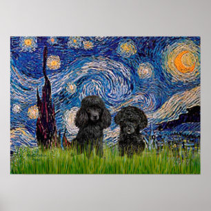 Poodle Paar (zwart) - Sterrennacht Poster