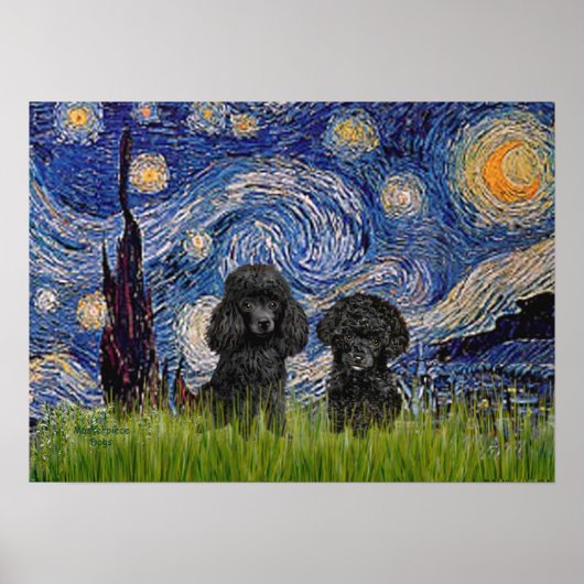 Poodle Paar (zwart) - Sterrennacht Poster (Voorkant)