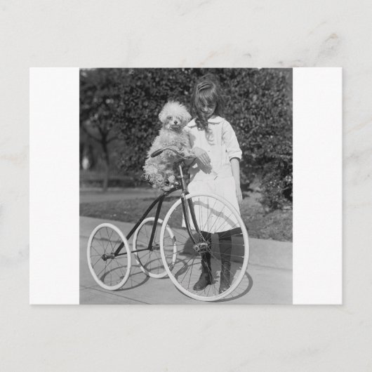 Poodle Perch, 1913 Briefkaart (Voorkant)