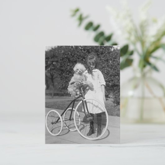 Poodle Perch, 1913 Briefkaart (Staand voorkant)