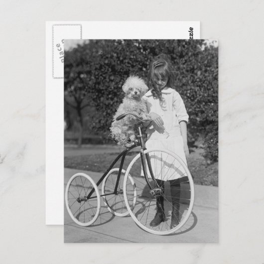 Poodle Perch, 1913 Briefkaart (Voorkant / Achterkant)