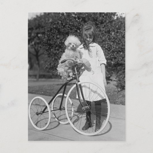 Poodle Perch, 1913 Briefkaart (Voorkant)