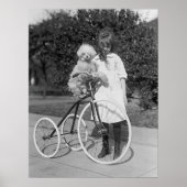 Poodle Perch, 1913 Poster (Voorkant)