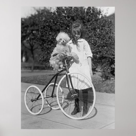 Poodle Perch, 1913 Poster (Voorkant)