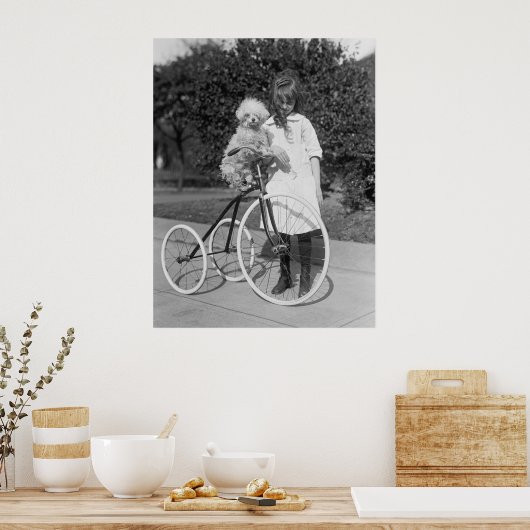 Poodle Perch, 1913 Poster (Keuken)