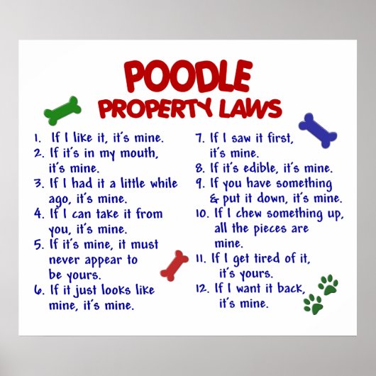 POODLE PL2 POSTER (Voorkant)