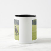 Poodle playfrisbei mok (Midden)