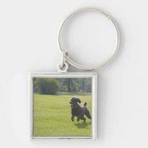 Poodle playfrisbei sleutelhanger