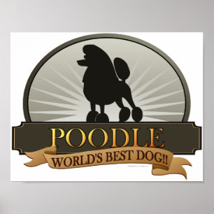 Poodle.png Poster