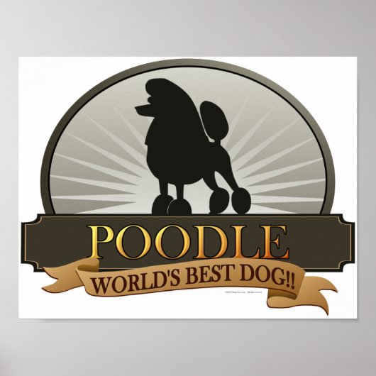 Poodle.png Poster (Voorkant)