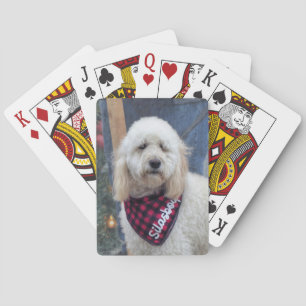 Poodle Pokerkaarten