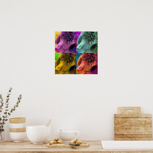 Poodle Pop Art Colorful Style Poster (Keuken)