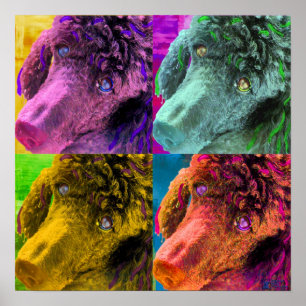Poodle Pop Art Colorful Style Poster