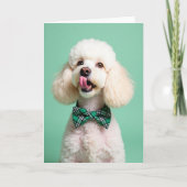Poodle Portrait Perfect Pet Card Kaart (Voorkant)