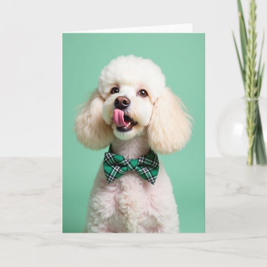 Poodle Portrait Perfect Pet Card Kaart (Voorkant)