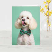 Poodle Portrait Perfect Pet Card Kaart (Gele Bloem)