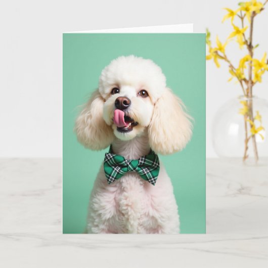 Poodle Portrait Perfect Pet Card Kaart (Gele Bloem)